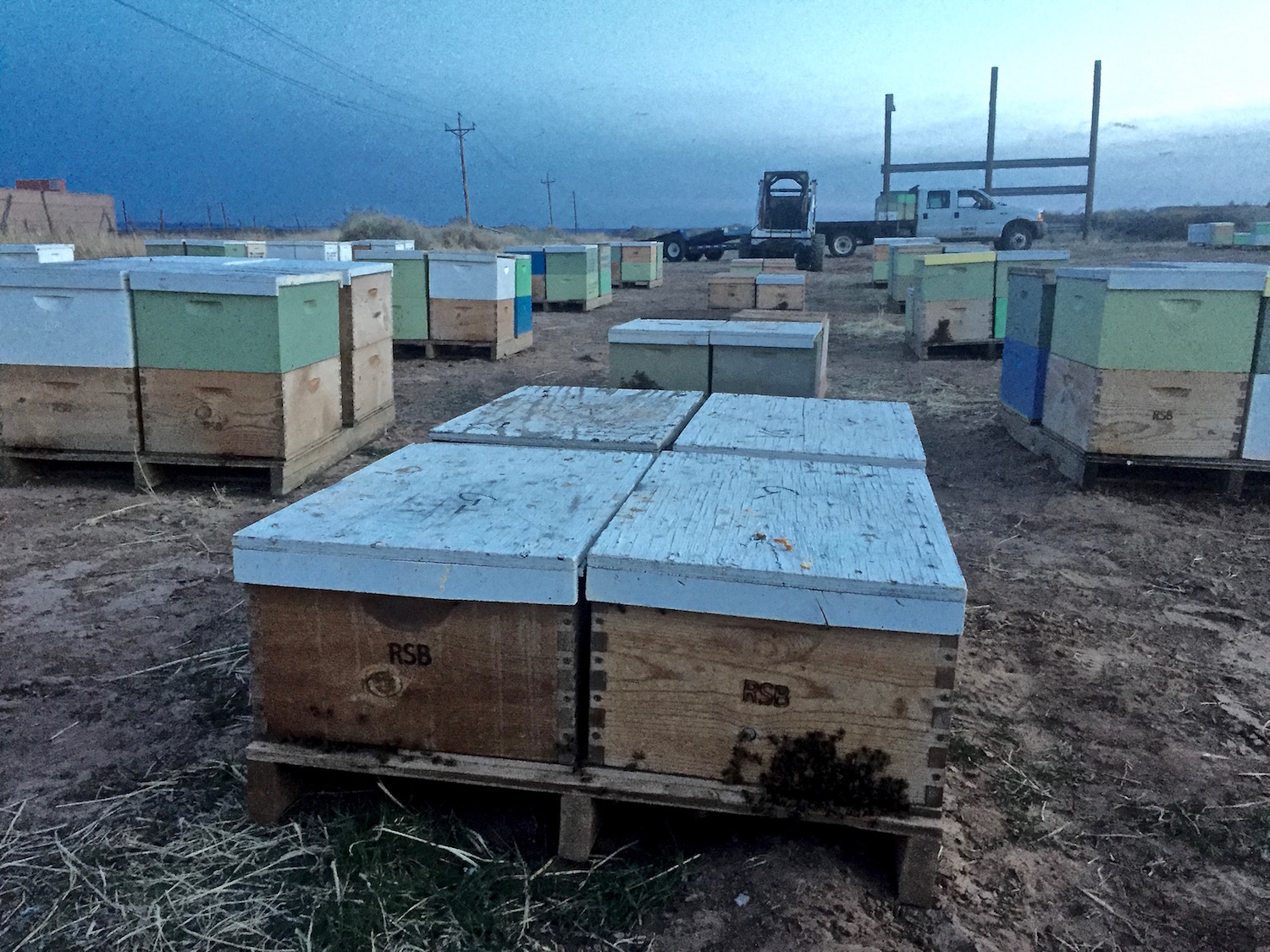 apiary